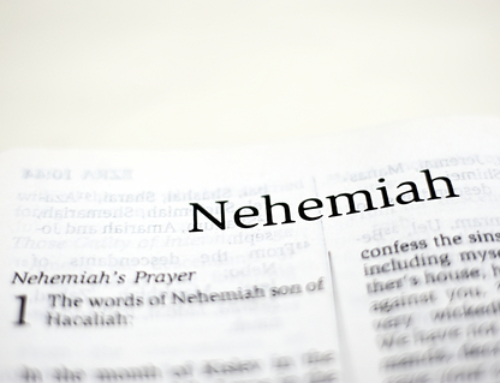 Thoughts on “The Leader Nehemiah”